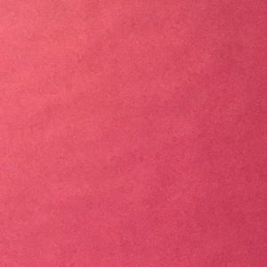 Meet your Posher, Isamar